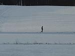 a2161141299570944-20721.jpg